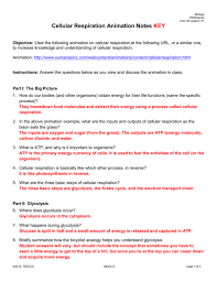 Check spelling or type a new query. Cellular Respiration Animation Notes Key