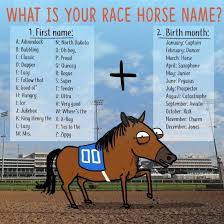 Funny Horse Infographics The Original Mane N Tail Animal Care The Original Mane N Tail A Kentucky Derby Horse Names Kentucky Derby Horses Derby Horse