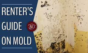 Our feeling is they offer free mold inspections because they make money primarily from remediating any mold problems that are found. Renter S Guide On Mold Northeast Property Restoration