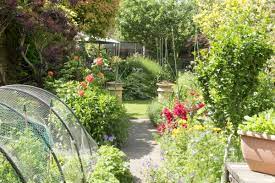 These are the best flowers for a vegetable garden. Where Is The Best Place For The Vegetable Garden The Middle Sized Garden Gardening Blog