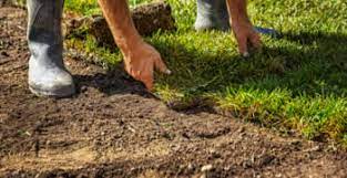 Jun 10, 2021 · city of plymouth: Sod Minneapolis Mn Chop Chop Landscaping Minneapolis Mn