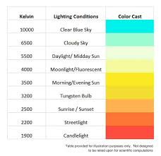 White Balance Basics A Mini Guide For Photographers