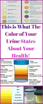What The Urine Color States About Your Health Color Of