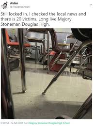 A mass killer is defined as a single individual who commits a crime such that 3 or more individuals are killed in a short period of time, usually in the same physical space. Marjory Stoneman Douglas High School Shooting Know Your Meme