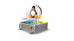 Linux dedicated server hosting