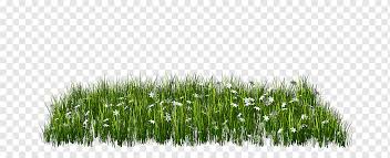 Check spelling or type a new query. Rumput Hijau Rumput Lukisan Blog Tanaman Herba Keluarga Rumput Wheatgrass Komoditas Blog Komoditi Rumput Png Pngwing