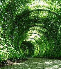 The Poison Garden At Alnwick Gardens Mom I Thought Of U That Would Be Cool In Ur Garden In 2020 Landscape Design Poison Garden Beautiful Gardens