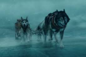 Disney has debuted an official trailer for another big sled dog adventure survival movie titled togo, to go along with their call. Best Dog Movies On Disney Plus Canine Centric Content Worth Watching