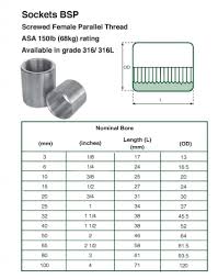 stainless steel bsp socket bsp weldable sockets online