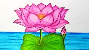 How To Draw Lotus Flower Step By Step Easy Draw For Children Kids Beginners