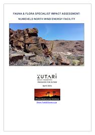 Image result for Plinthus cryptocarpus