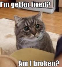 30 Funny Animal Captions 30 Pics Amazing Creatures Funny Animals With Captions Animal Captions Funny Animal Pictures