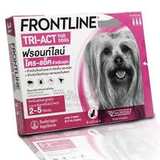 Shop target for insect & pest control you will love at great low prices. Flea Pest Control Biggest Online Pet Supplies In Thailand