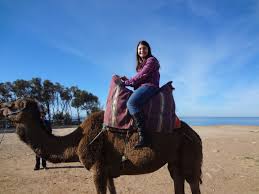 Camel treks and safaris are a popular tourist activity around the world, but is camel riding ethical or again, not all of these camels are kept or treated in an ethical or humane way with many operators i really wish i had come across your article earlier! Camels Caves And Comida A Weekend In Morocco Part 2 Tangier And Tetouan An American S Adventures In Andalucia