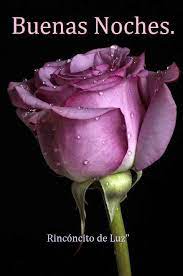 Versos De Buenas Noches Para Descargar Gratis Beautiful Roses Purple Roses Love Flowers