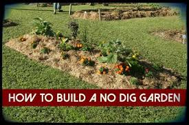 How To Build A No Dig Garden Shtf Preparedness Dig Gardens Survival Gardening Garden Planning