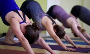We did not find results for: Can You Do Yoga With A Hearing Loss Blog
