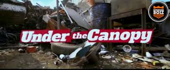 Music Video Frank Edwards Under The Canopy Official Video Kingdomboiz