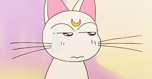 Baka Artemis Sailor Moon Screencaps Sailor Moon Cat Sailor Moon