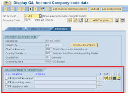 Fs00 Upgrade Issue Missing G L Account Text Fields In Chart