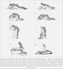 Figure 4 from [POSSIBILITIES AND LIMITATIONS OF SEXUAL ACTIVITY FOLLOWING  TOTAL HIP REPLACEMENT]. | Semantic Scholar