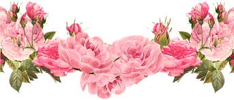Image result for xmas rose border