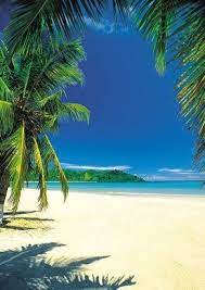 Find Beauty Everywhere Beautiful Beaches Beautiful Landscapes Tropical Beaches