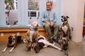 Adorn your foster dog with adopt me paraphernalia such as a bandana, vest or leash. He Befriended 4 000 Dogs To Get Their Side Of The Story The New York Times