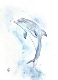 Easy Dolphin Paintings Best 25 Dolphin Art Ideas On Pinterest Dolphin Drawing Dolphin Art Dolphin Drawing Dolphin Painting