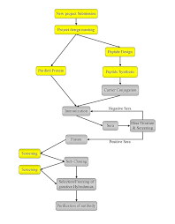 monoclonal antibody production process vanderbilt antibody