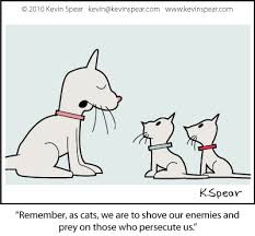 Photo about a white cat with blue eyes is reading bible on the bed. Cartoon The Kitty Bible Kevin H Spear