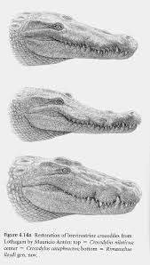 Http Www Adias Uae Com Logatham Crocs Fig4 14a Jpg Is Form Mauricio Anton W Prehistoric Animals Animal Drawings Animal Sketches