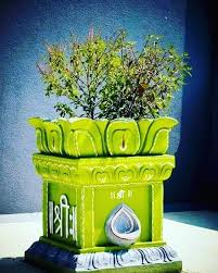Jai Maa Tulsi Tulsi Pot Tulsi Goddess Decor