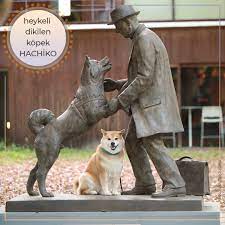 bugun tokyo ya gidenlerin shibuya istasyonunun kapisinda karsilastigi kopek heykeli hachiko dur japonlar sadakat ve insan japanese dogs dog so cute dog meet