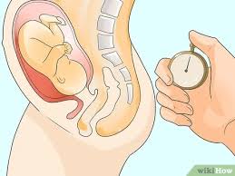 Dibujos para colorear, colorear imágenes, educación, escolar, dibujos, colorear la imagen: Como Asistir Un Parto Con Imagenes Wikihow