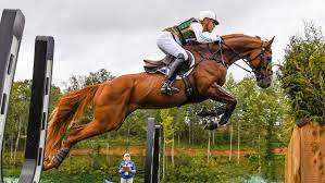 We did not find results for: Andrew Hoy Australian Event Rider Heading For His Eighth Olympics