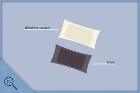 Remove the packet if it starts nauseating you. A Beginners Guide On How To Use Snus And Nicotine Pouches Haypp Uk