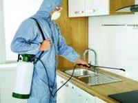 pin en mis pines guardados