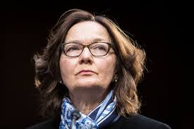 Are you a fairy, mermaid, princess, witch, vampire, or pirate? Gina Haspel Relies On Spy Skills To Connect With Trump He Doesn T Always Listen The New York Times