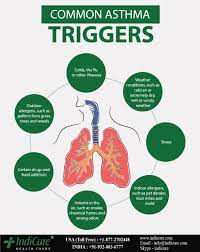 If You Have Asthma The Airways In Your Lungs Are Usually Inflamed During An Asthma Flare Up These Airways Get Even More Swol Asthma Food Additives Pet Dander