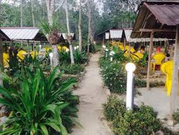 Ada beberapa tempat menarik bila anda singgah di kota ini. Kedai Makan Pokok Getah Menarikdi Com