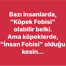Mustafa Cay Adli Kullanicinin Guncel Panosundaki Pin Guzel Soz
