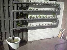 This is the lowest cost, lowest maintenance system. 62 Favourite Vegetable Hydroponic Garden Ideas And Decoration The Expert Beautiful Ideas Hydroponic Farming Hydroponics Diy Hydroponic Gardening