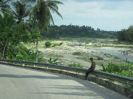La route de l'amitié (8 feb. Route De L Amitie Riviere De La Cosse Jacmel Haiti 2009 Mapio Net