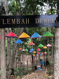 Taman agro wisata ini didirikan pada dinding persawahan yang membuatnya nampak indah dilihat. Wisata Tengah Kota Lembah Durian Farm And Stable Hadirkan Sensasi Berkuda