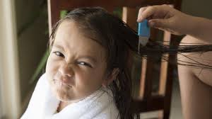 Salon near me feature also helps in searching for salons on the basis of distance, price and other filters. Headlice Everything You Don T Want To Know