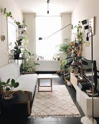 Living Room Plants Decor Living Room Plants Decor Dark Floor Living Room Living Room Plants