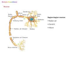 Bab 9 Sistem Koordinasi Ppt Download