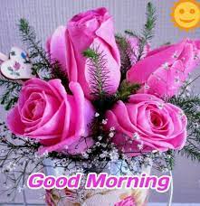 With tenor, maker of gif keyboard, add popular good morning friends animated gifs to your conversations. Sign In Good Morning Flowers Good Morning Flowers Rose Good Morning My Love