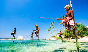 Prior to sltda being established in 2007, these functions primarily resided with the organization known as ceylon tourist board/sri lanka tourist board/sri lanka tourism board. Srilanka Is Safe For Tourists Assures Sri Lanka Tourism Chief Maktoob Media